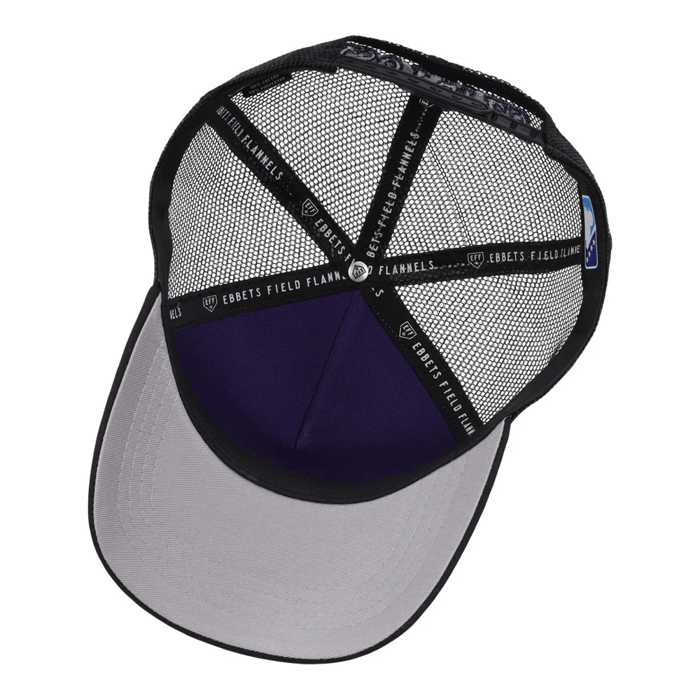 Albuquerque Isotopes MiLB Trucker Ballcap - Image 3
