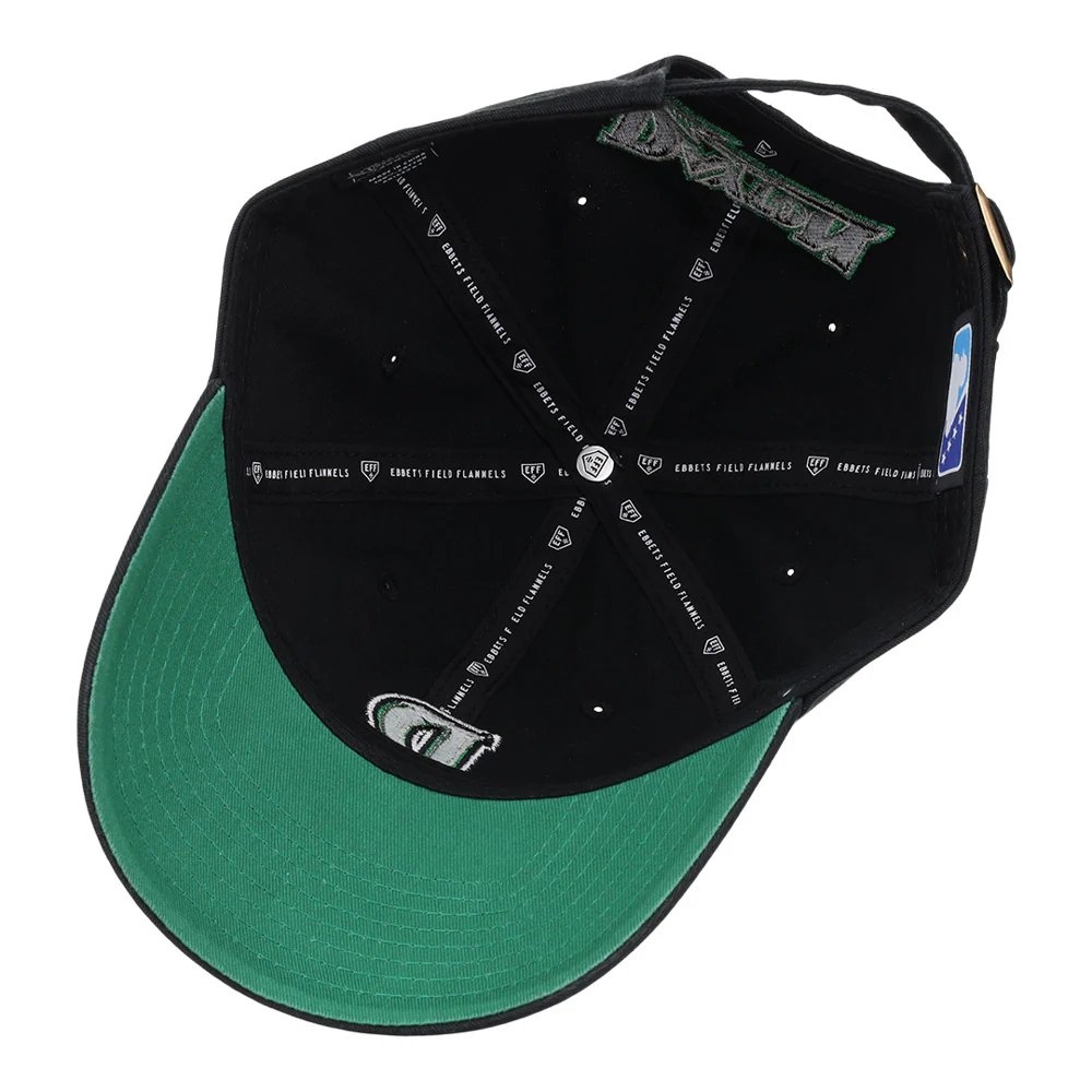 Dayton Dragons MiLB Dad Ballcap - Image 3