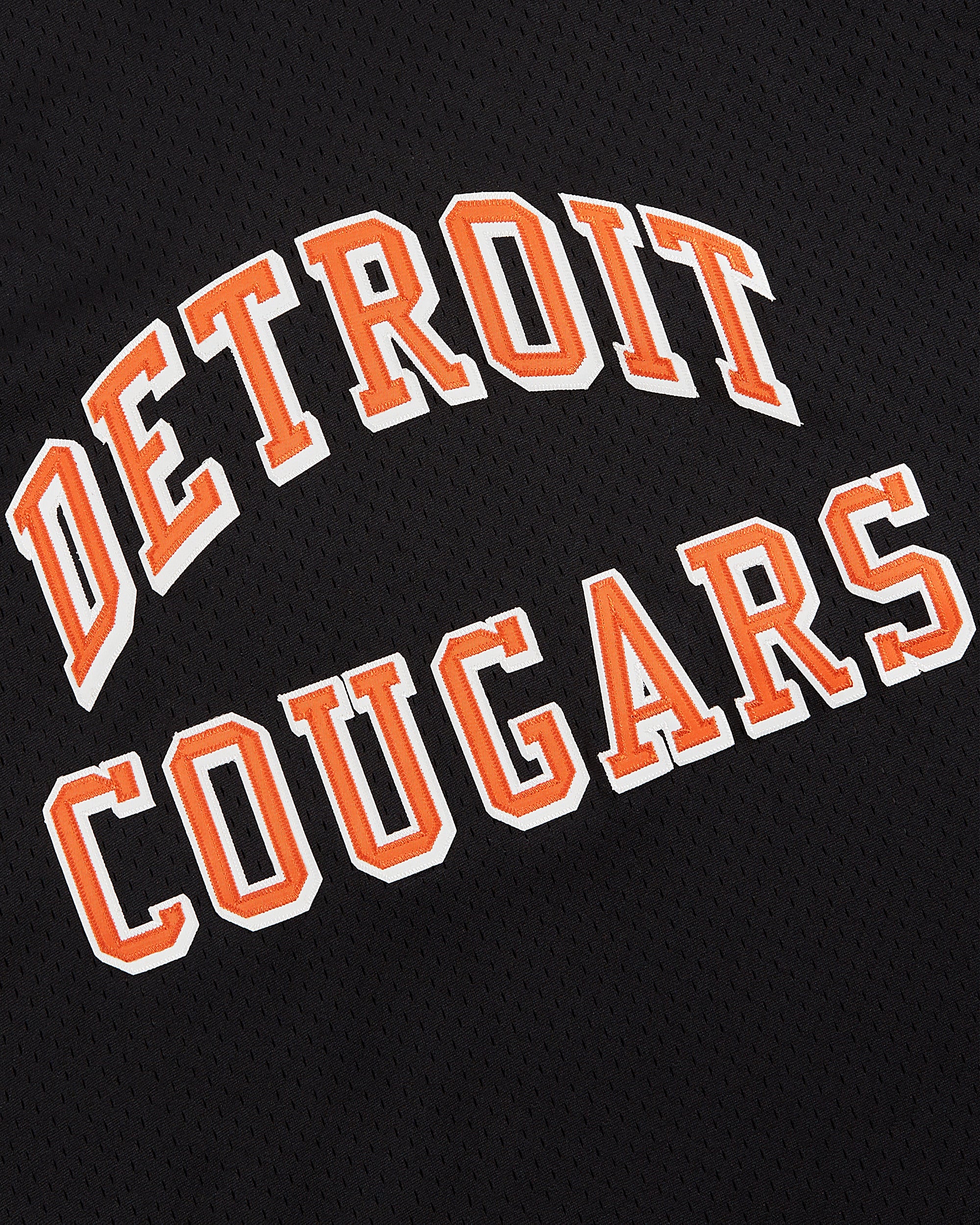 Detroit Cougars Mesh Soccer Jersey - Image 5