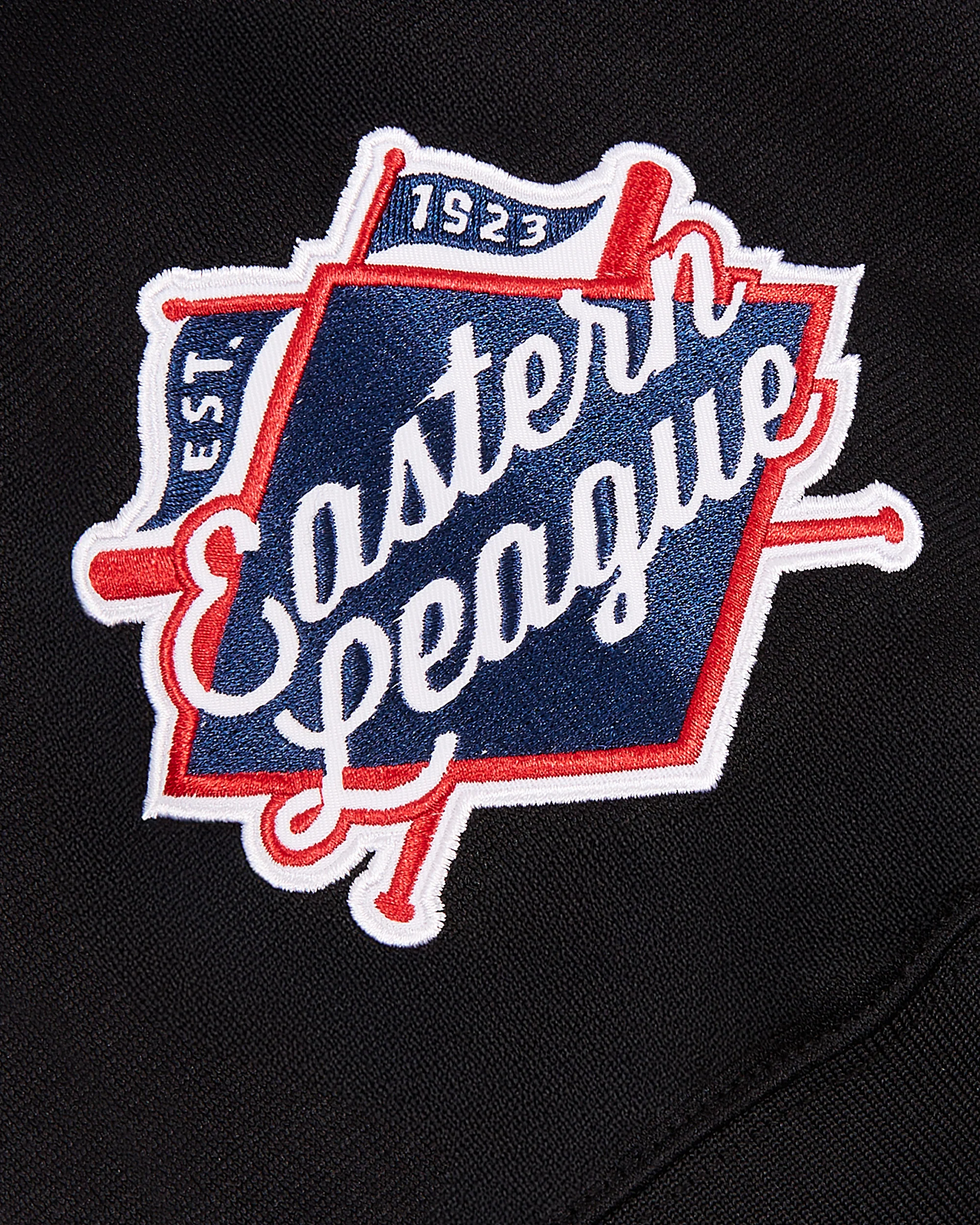 Vladimir Guerrero Harrisburg Senators V-Neck Jersey - Image 5