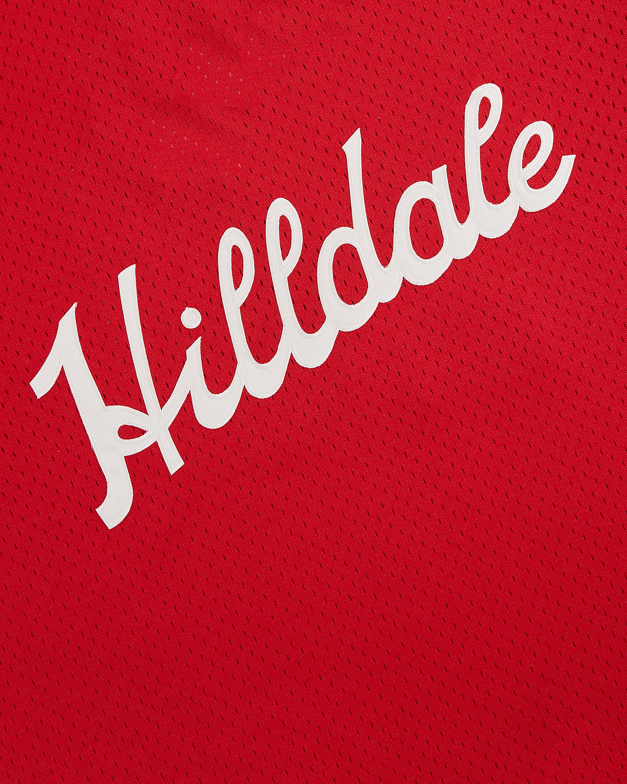 Hilldale Athletic Club 1924 V-Neck Mesh Jersey - Image 3