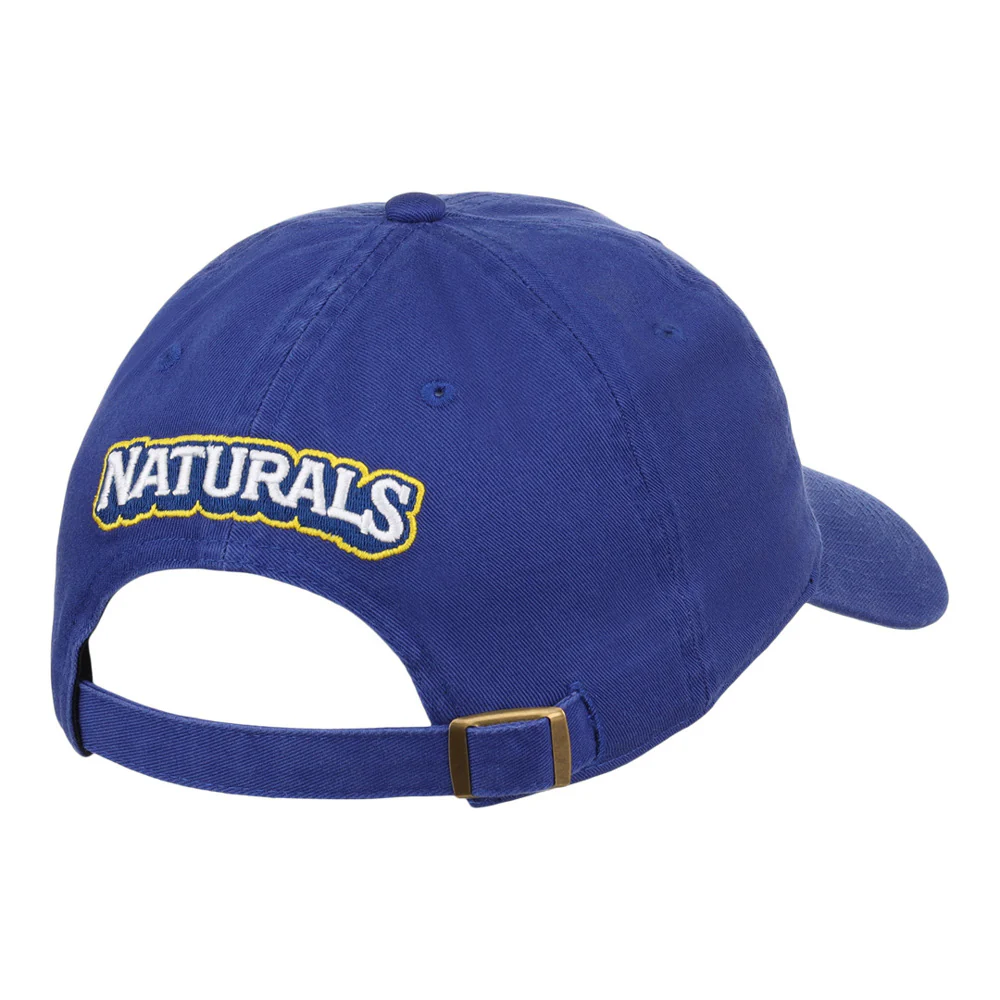 Northwest Arkansas Naturals MiLB Dad Ballcap - Image 2