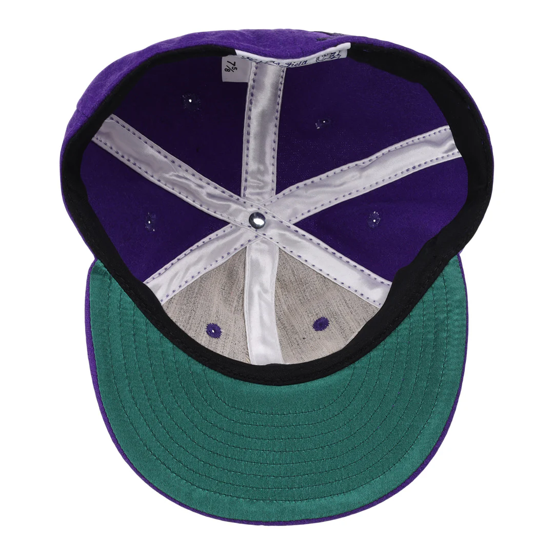Northwestern University Mascot Vintage Ballcap - Image 4