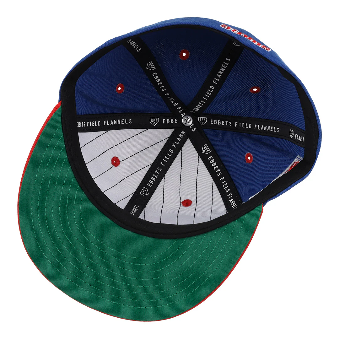 Sankei Atoms EFF DNA Fitted Ballcap - Image 4