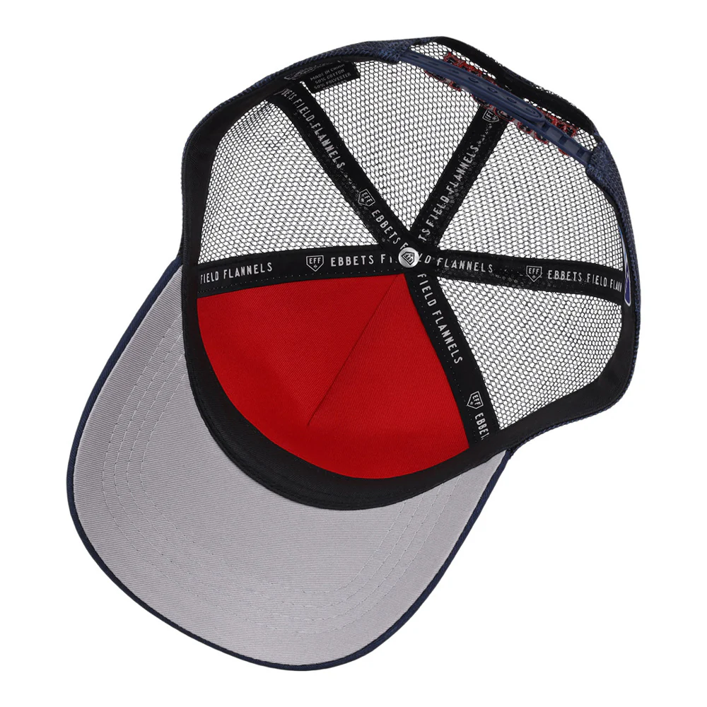 Tacoma Rainers MiLB Trucker Ballcap - Image 3