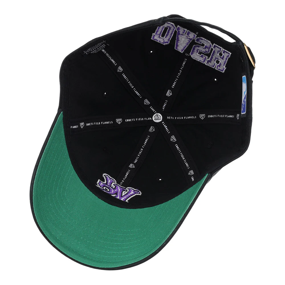 Winston-Salem Dash MiLB Dad Ballcap - Image 3